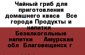 Чайный гриб для приготовления домашнего кваса - Все города Продукты и напитки » Безалкогольные напитки   . Амурская обл.,Благовещенск г.